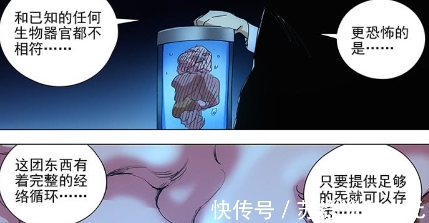 炉子|一人之下:哪都通从碧游村缴获一块“肉体”,居然是曲彤生出来的?