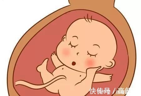 小家伙|当孕妈的肚子鼓起来时, 胎宝宝到底在干嘛