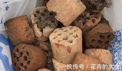 土壤|以下东西不要扔了,土里拌一些,养花效果好,改善土壤!