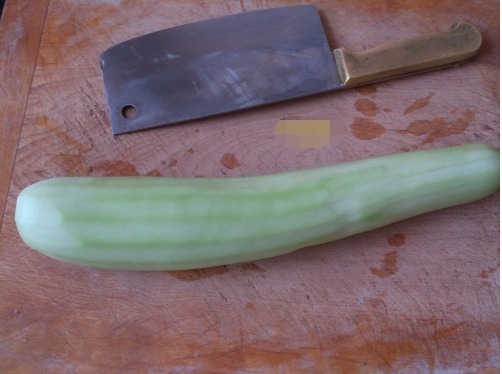 这个包子没有肉却特别鲜,只用俩食材,一个负责香,一个负责鲜!