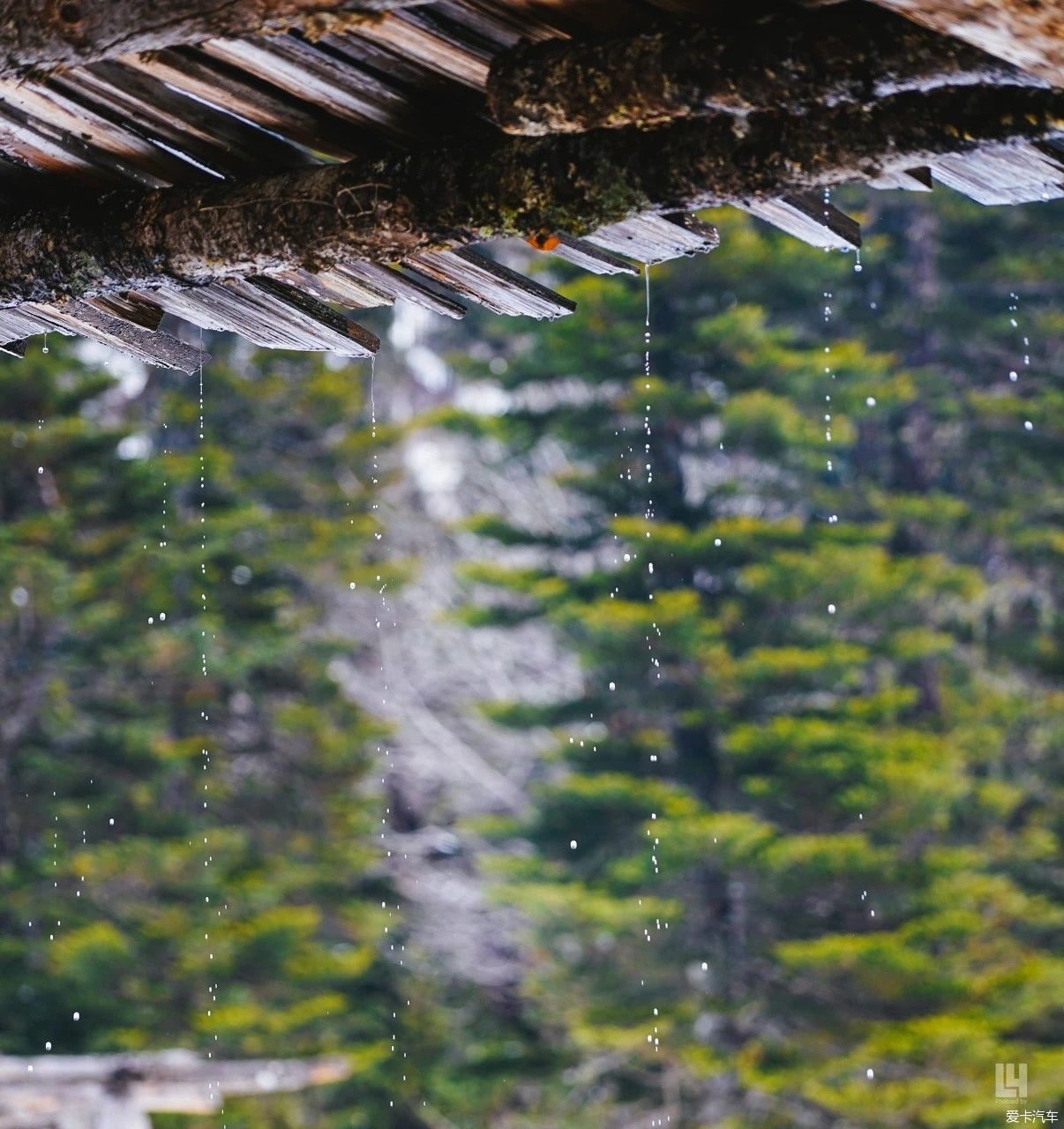 雨崩村的美好追忆