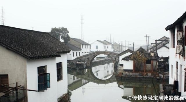 世外桃源|这个小镇地处江浙沪交界，当地的桥梁全国闻名，仿佛是世外桃源