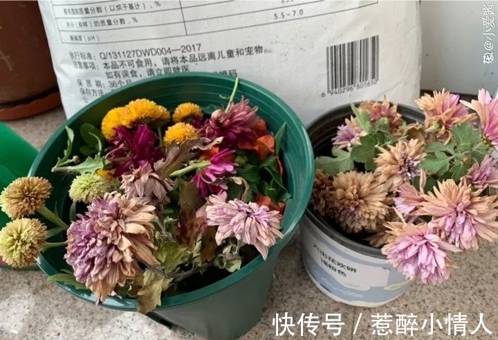 冬天修剪分“轻重”,有的花剪狠了,再也不开花