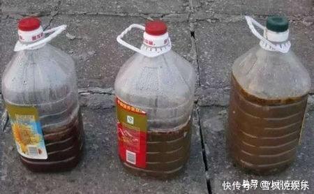 肥料|家中常见一种料,花盆里放一勺,就是万能肥,养花非常赞,呼呼长