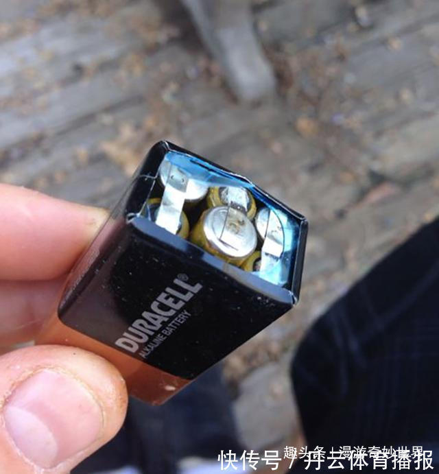 鹦鹉螺&这些东西内部长啥样?25张照片揭示日常事物看不见的一面!