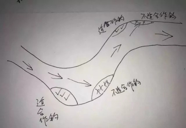 不知道鱼儿藏在哪儿？我帮你画了5张图，随便挑一个就能爆护