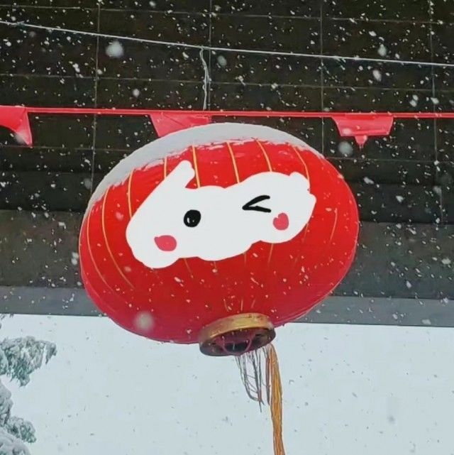 虎年|虎年北京第一场雪！冰墩墩也去故宫拍照啦！