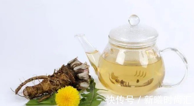 蒲公英水|17岁女生因一壶蒲公英水,送入医院,提醒:蒲公英泡水有4大禁忌