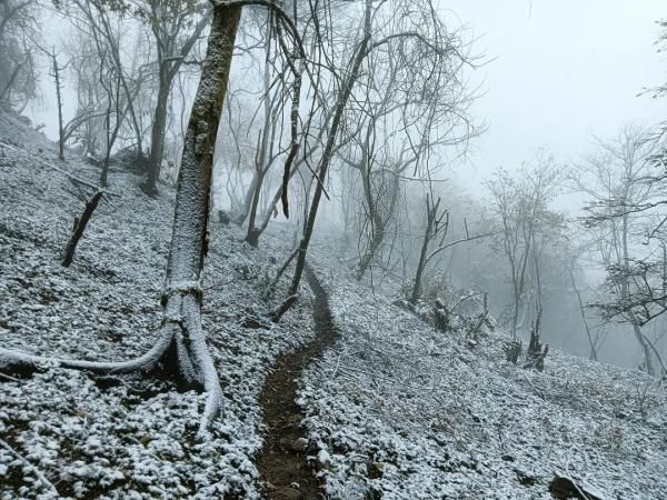 四川|今日立冬，四川这些地方下雪了 ！