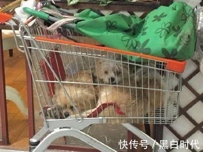 |搞笑图片幽默段子笑话:妹子你的衣服挺好看,过几天就不能穿了吧