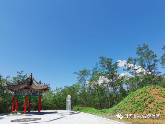 野河山|纵享夏日惬意野河山