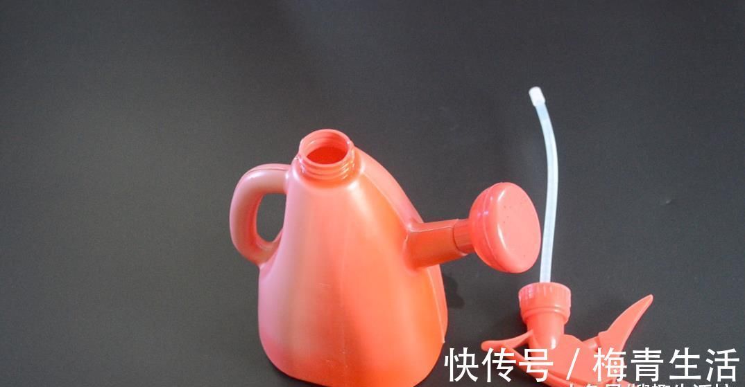 卫生间里放一瓶藿香正气水, 作用太棒了, 解决了很多家庭的烦恼