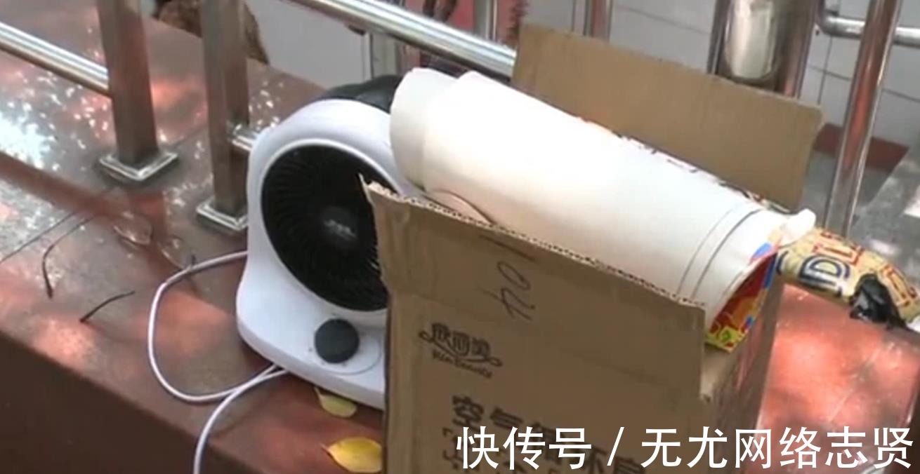 差评|重庆男子网购风扇，没有合格证索赔10倍，结果收到“童男童女”