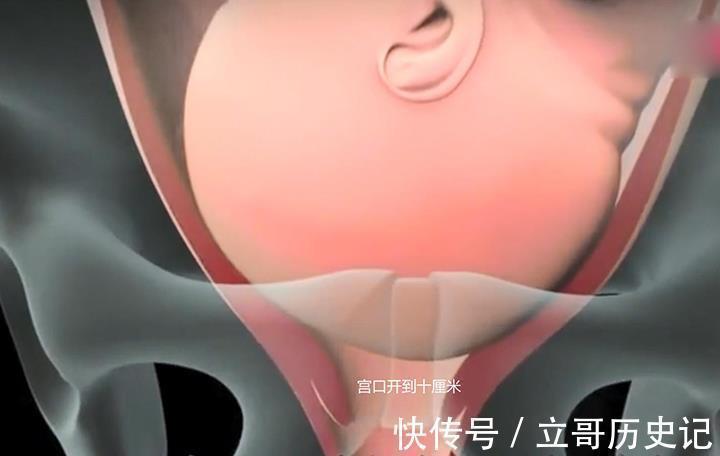 分娩|妈妈或许不知,当你分娩疼得死去活来时,宝宝也在很努力地帮忙