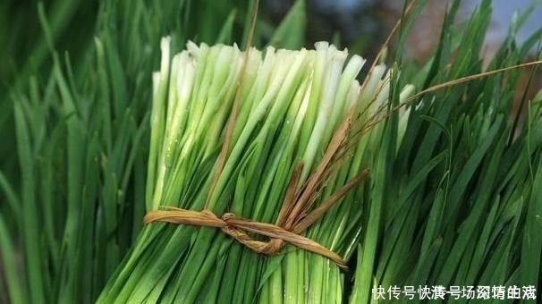 含硫化合物|吃了20多年韭菜,原来韭菜和它吃,营养功效翻倍!可惜懂的人少