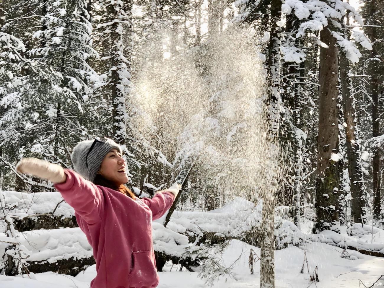 你在南方的艳阳里，大雪纷飞，我在北方的寒夜里，四季如春……