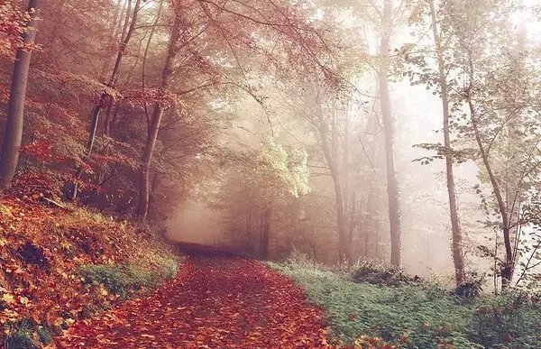 长孙皇后|聪明人不得不知的5条处事哲学，背下来，受用一生