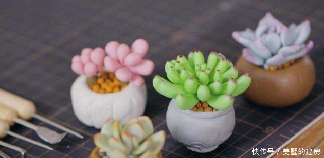 成活率|多肉叶插方式有几种?哪个成活率高?叶插时,需要注意什么?