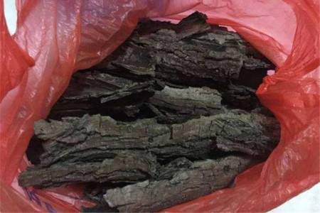 张大爷养虎皮兰，浇水施肥只用“它”，半年养出60多盆，太漂亮了