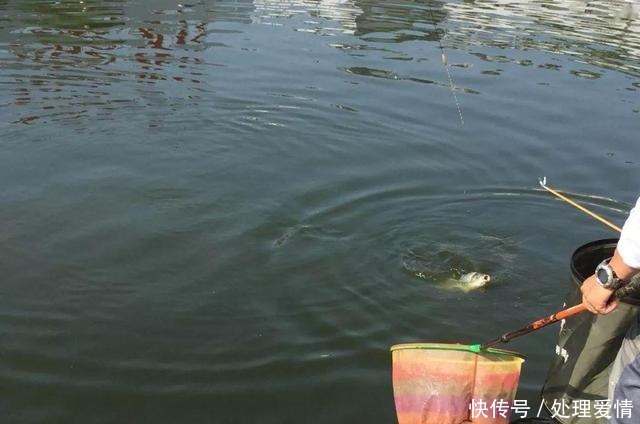 野钓鱼儿活跃水层多变,如何快速定位鱼层两个方法三个原则