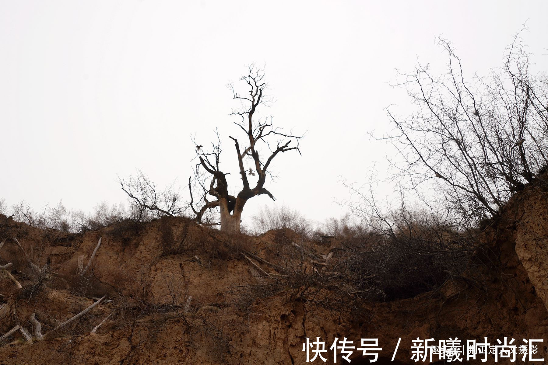 举人!300年举人老宅藏有密室暗道,农民大叔不曾使用,落下后悔事