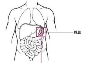 拉肚子|脾虚的人记住这2个妙方,脾胃自然就强大了