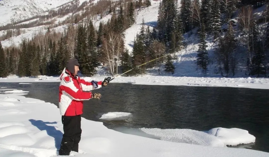 饵料|冬季钓鱼一切从“小”出发,那你就对了