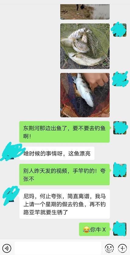 湖北一条河鳜鱼大爆发,短时间内钓了半护,有钓友为钓鱼请假一周