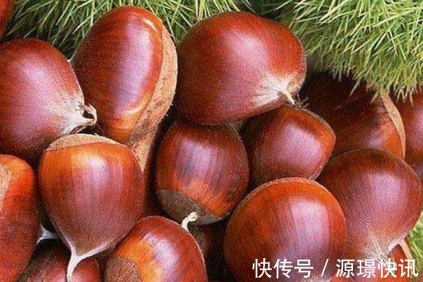 氯化镁|常吃栗子益气健脾好处多,但要牢记4大禁忌,吃对了才更健康