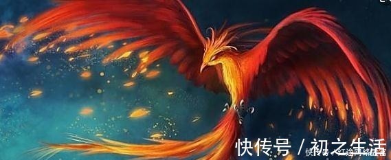 小学绀珠#古籍中发现四千年前曾有人以凤凰为食,此后世间再无凤族的记载