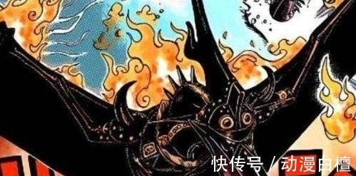朱雀|海贼王:天之四灵其实已经暴露有三!青龙是凯多,其他两人是谁?