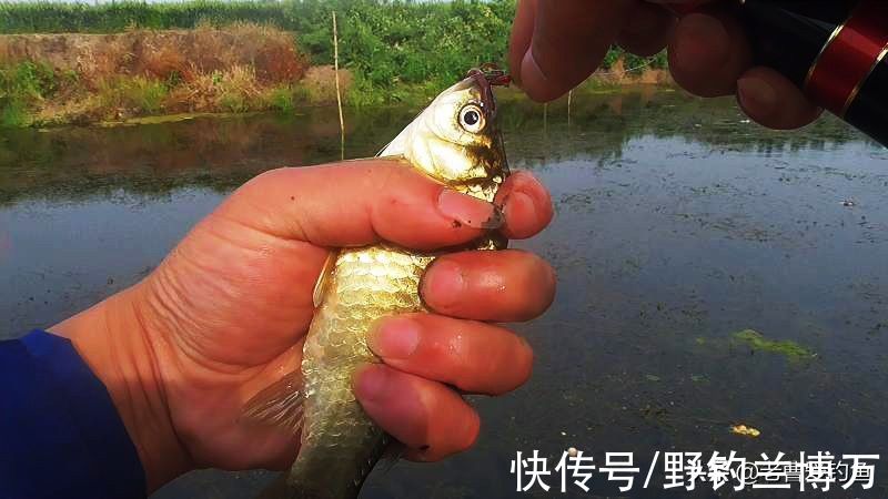 想让鱼活的时间长点,给鱼穿上“救生衣”,老钓友:脑子让驴踢了