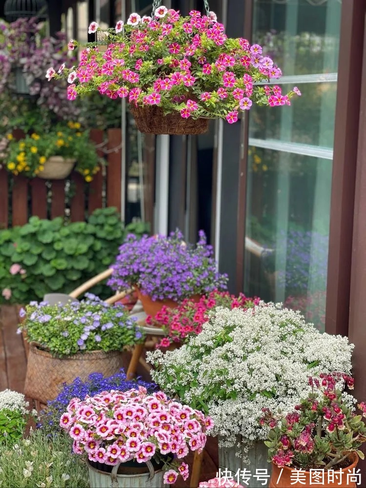 下午茶|一楼430㎡大院子,用1年半建成花园,网友:你这是建了个公园吧?