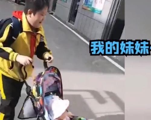 大宝|小男孩路上“遛妹妹”,逢人就炫耀自己有妹妹,爸妈哭笑不得