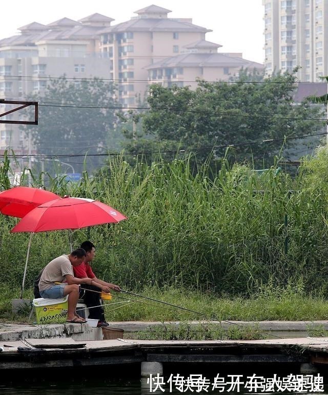 长竿|新手钓友如何选择鱼竿的长度老钓友的经验，让你不迷茫