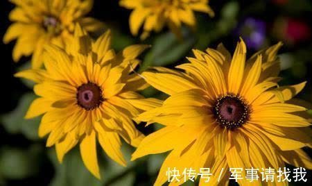 重启|五天之后，桃花变多，再遇旧爱，爱情重启，永远幸福