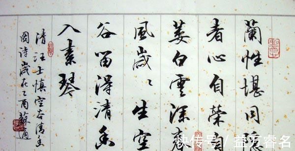 书法家@女书法家苏泽立的书法,用笔洒脱,点画遒美,有苏适之神韵,佩服