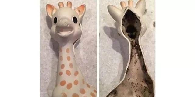 宝宝|好可怕!宝宝天天吃的牙胶和奶嘴,竟然比抹布还脏!