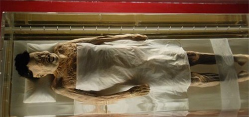 日本|日本数次索要她的头发,从几根到1寸,引中国警觉:半寸都不给