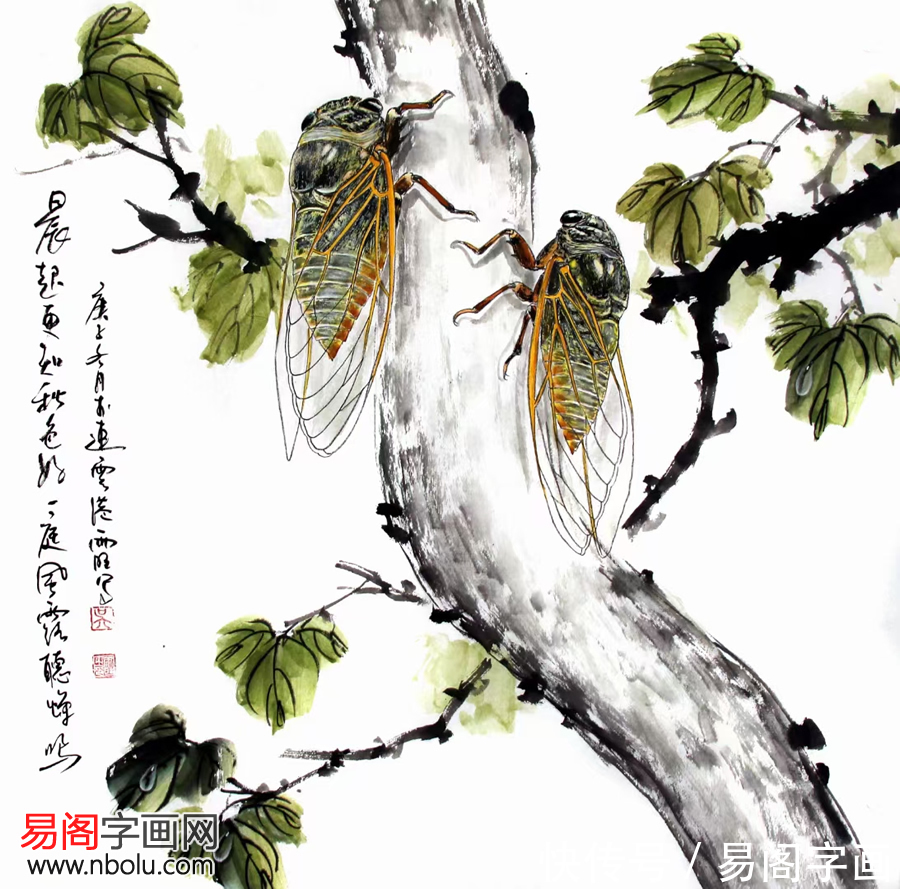 花鸟&吴雨旺花鸟画 为当今画坛吹来一缕清风