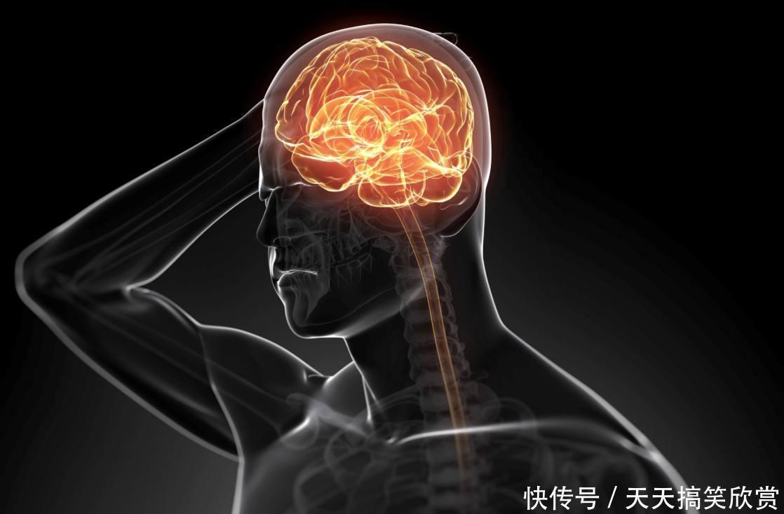 简单|102岁的老人大脑像60岁长寿的秘诀不是多运动,而是这简单3件事