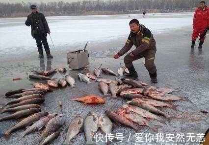 窝子|85%的钓鱼人都不知道的，垂钓冷知识，若读懂，鱼获倍增