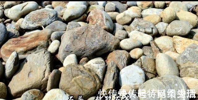 厕筹$没有纸,古人们拿什么擦屁股的?中国有“厕筹”,日本的很有创意