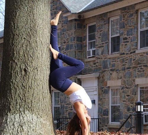 上半身|又调皮了,会做这些动作,代表你的瑜伽水平非常高了