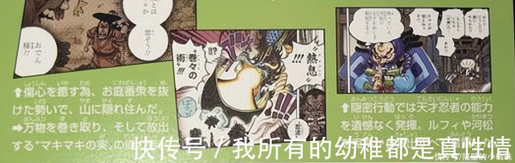 凯多|海贼王官方情报:雷藏居然是能力者,他之前的“人设图”好帅