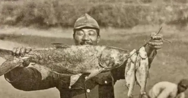 抗日|历史上，真实的“鬼子进村”是这样的，可别再被“抗日神剧”给误导了