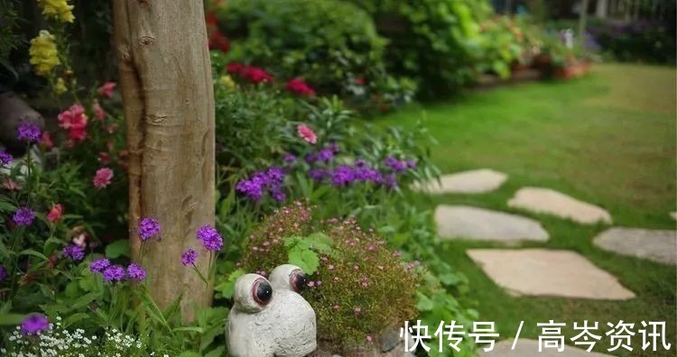 小区|坐拥270㎡大院子,她如何用五年时间,打造成了全小区最美的花园