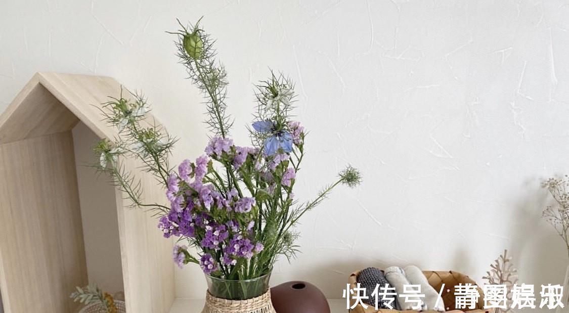 收纳|越简单越精致日式温馨小家,全屋干净到令人心动,美得恰到好处