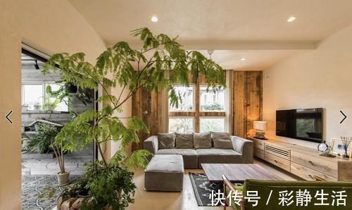 绿植|300㎡的农村别墅，光硬装就花了45w，最爱院子里的阳光花房！