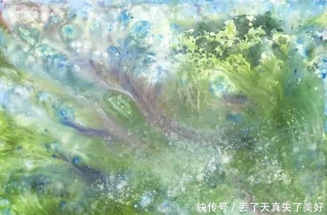 画家|7岁自闭症小女孩,天生就是画家,画作已卖到几百万英镑